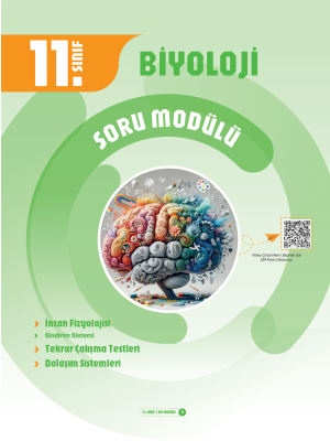 11. Sınıf Biyoloji Soru Modülü 4 - 2024-25