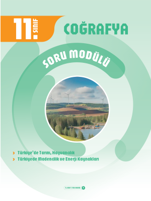 11. Sınıf Coğrafya Soru Modülü 4 - 2024-25