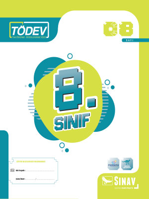 8. SINIF TÖDEV SAYI 8 - 2024-25