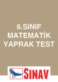 6.Sınıf Matematik Yaprak Test