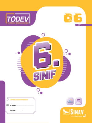 6. SINIF TÖDEV SAYI 6 - 2024-25