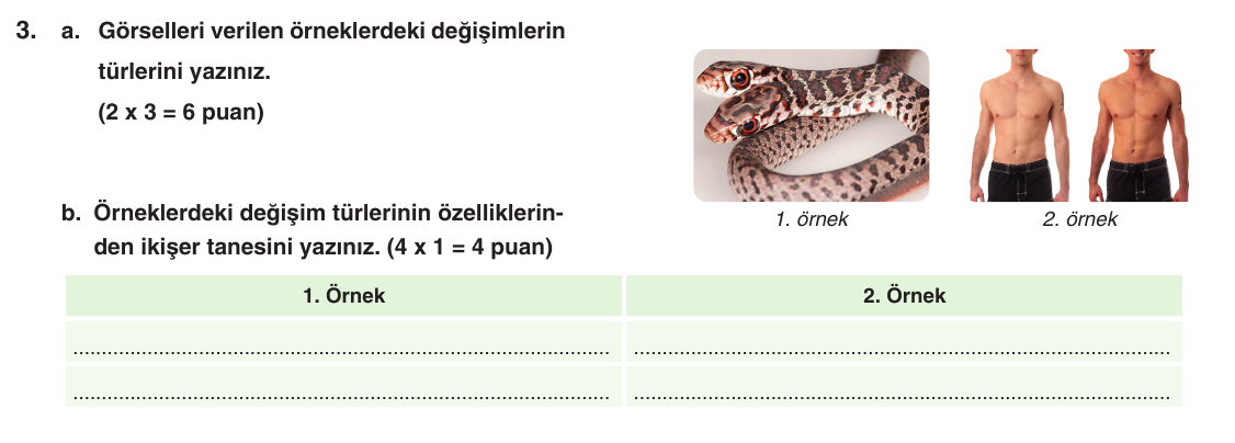 Kesili görsel