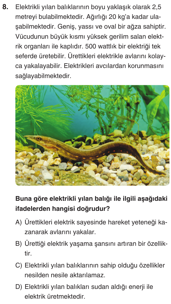 Kesili görsel
