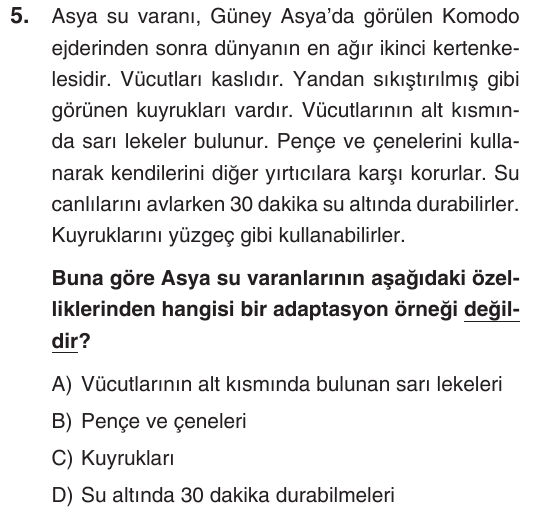 Kesili görsel