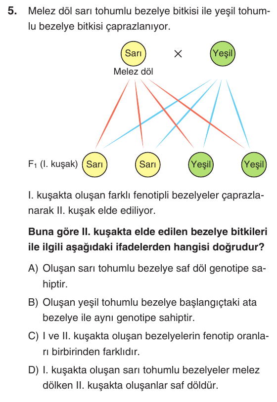 Kesili görsel