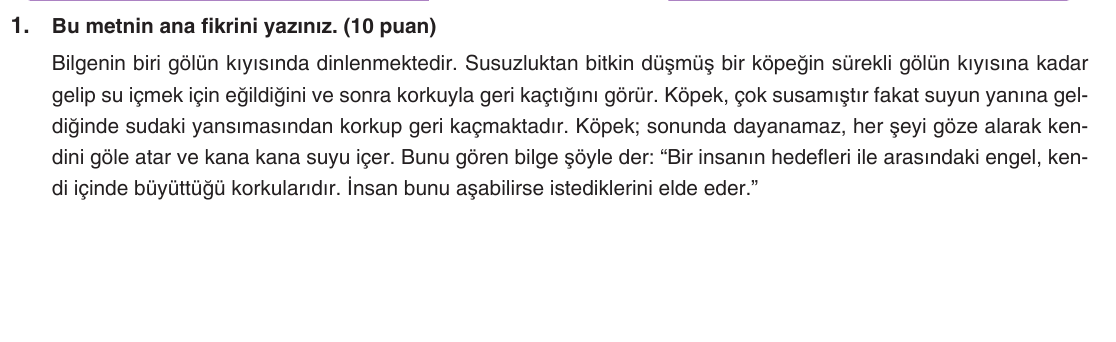 Kesili görsel