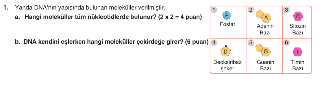 Kesili görsel