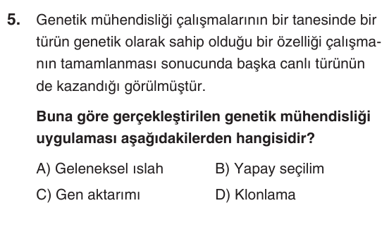 Kesili görsel