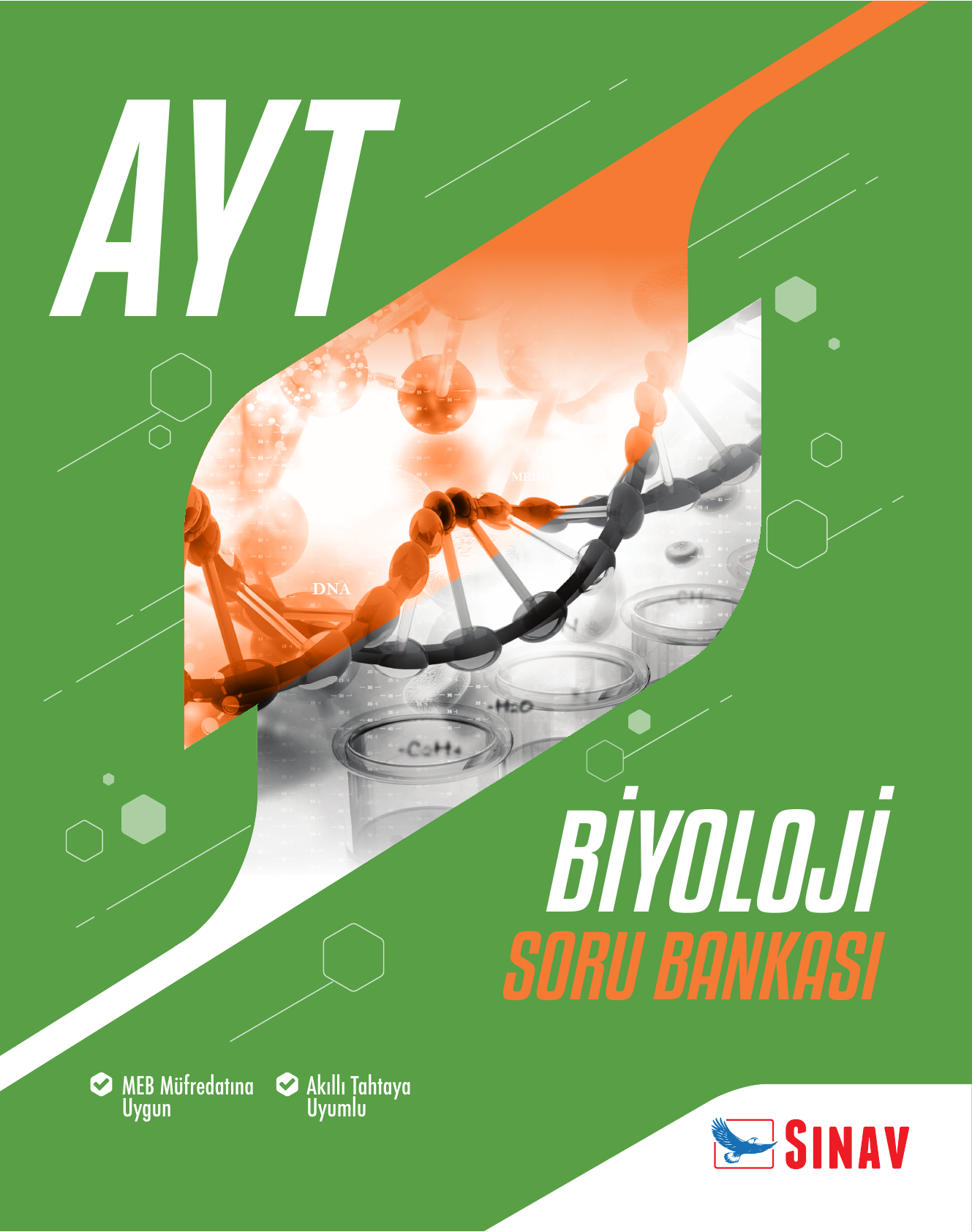2027 12. Sınıf AYT Biyoloji Soru Bankası