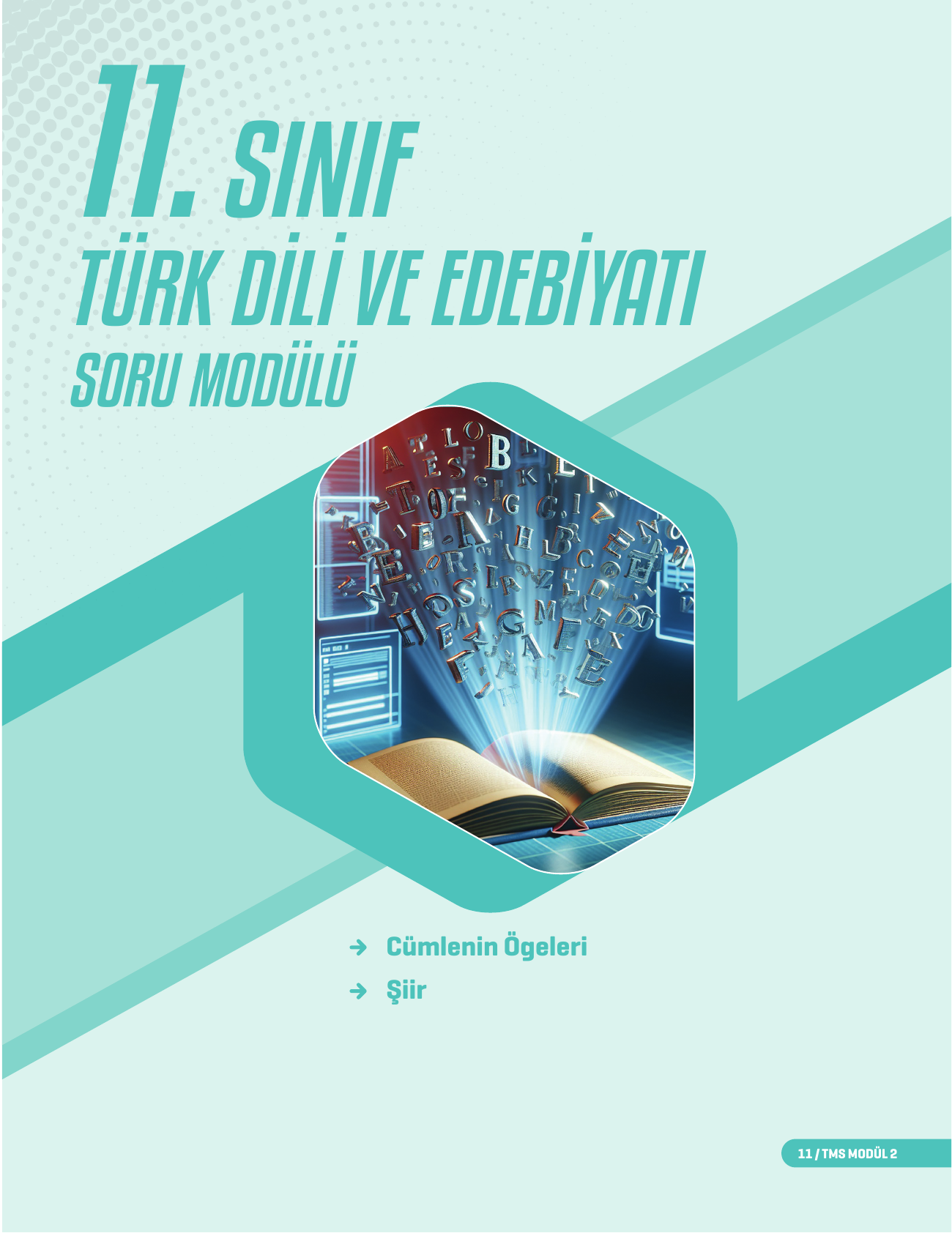 2026 11.Sınıf Edebiyat Soru Modülü 2