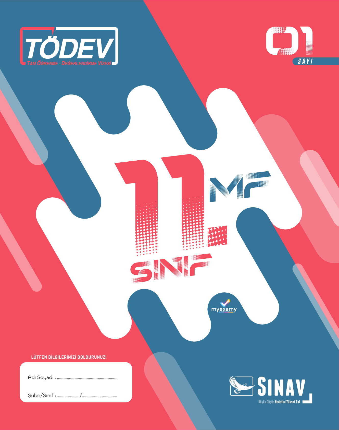 2026 11.Sınıf MF TODEV 1